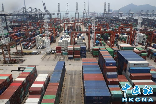 香港7月商品进出口货量跌逾1成